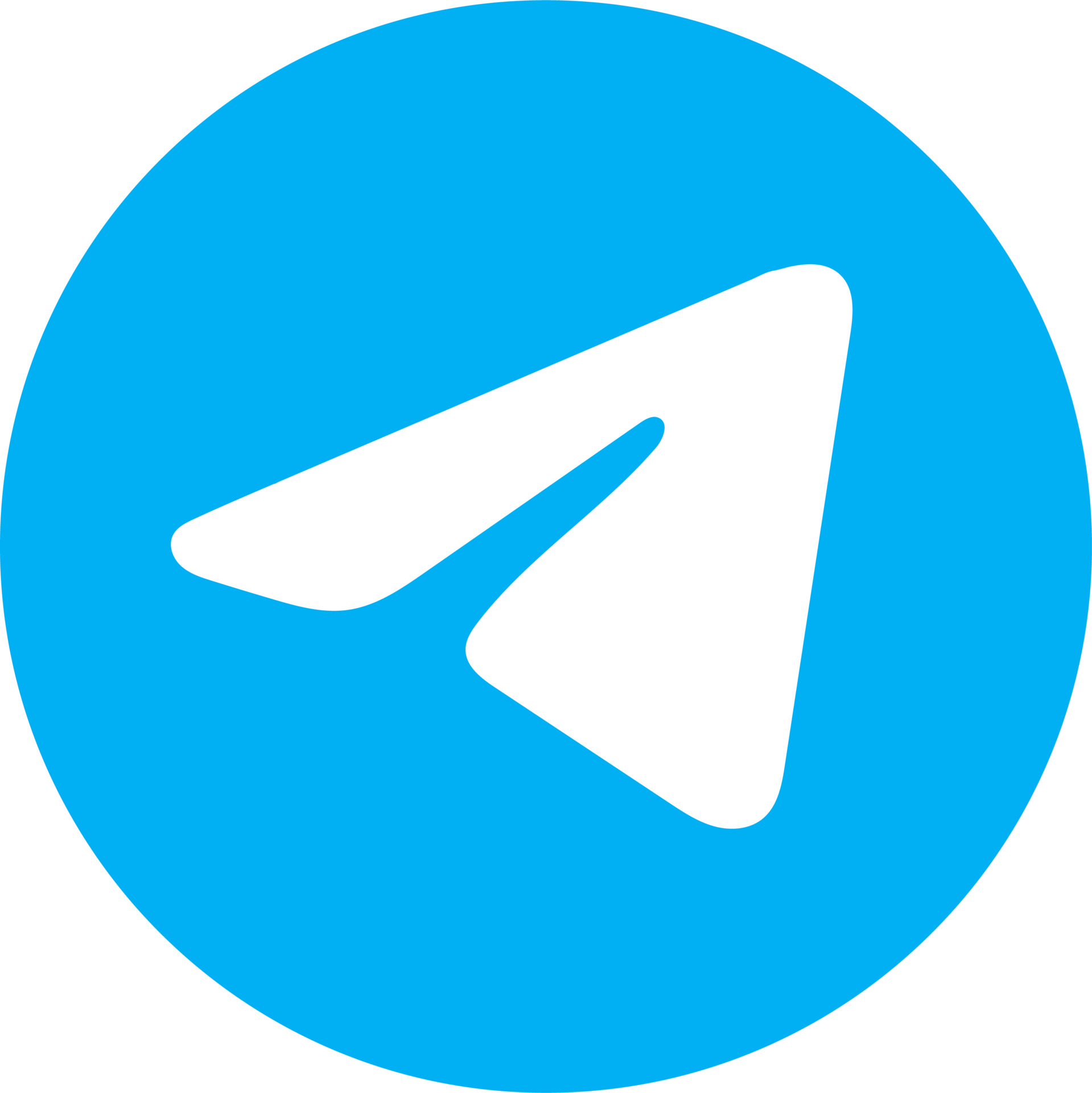 Telegram для связи с EVO WebDev